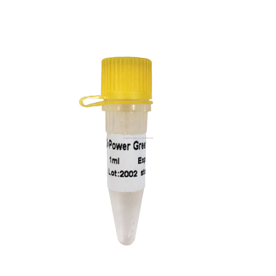 Güç Yeşil QPCR Karışımı P2101 P2102 Gerçek Zamanlı PCR Karışımı