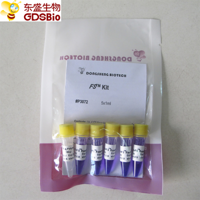 DNA RNA Nükleik Asit Tespiti için FS PCR Master Mix PCR Kiti P3072 1ml×5