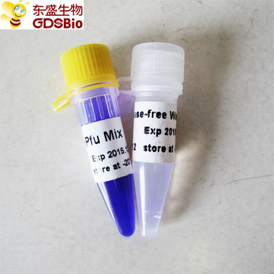 DNA RNA Nükleik Asit PCR Tespiti Pfu PCR Master Mix P2021 1ml