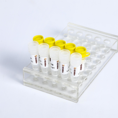 KASP PCR Master Mix P4021 P4022 SNP InDels tespiti